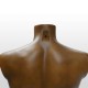 Busto Hombre Marrón Oscuro