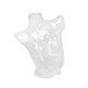 Maniquí Busto Mujer Transparente