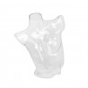 Maniquí Busto Mujer Transparente