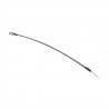Latiguillo Antihurto 25 CM
